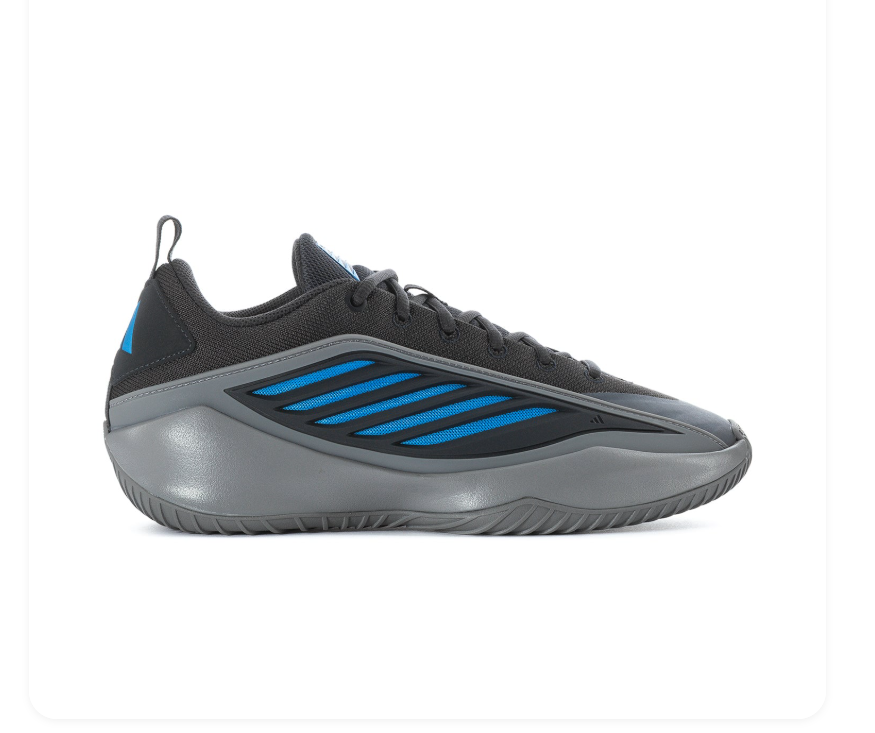 Adidas Black & Grey Low-Top Sneakers with Blue Accents