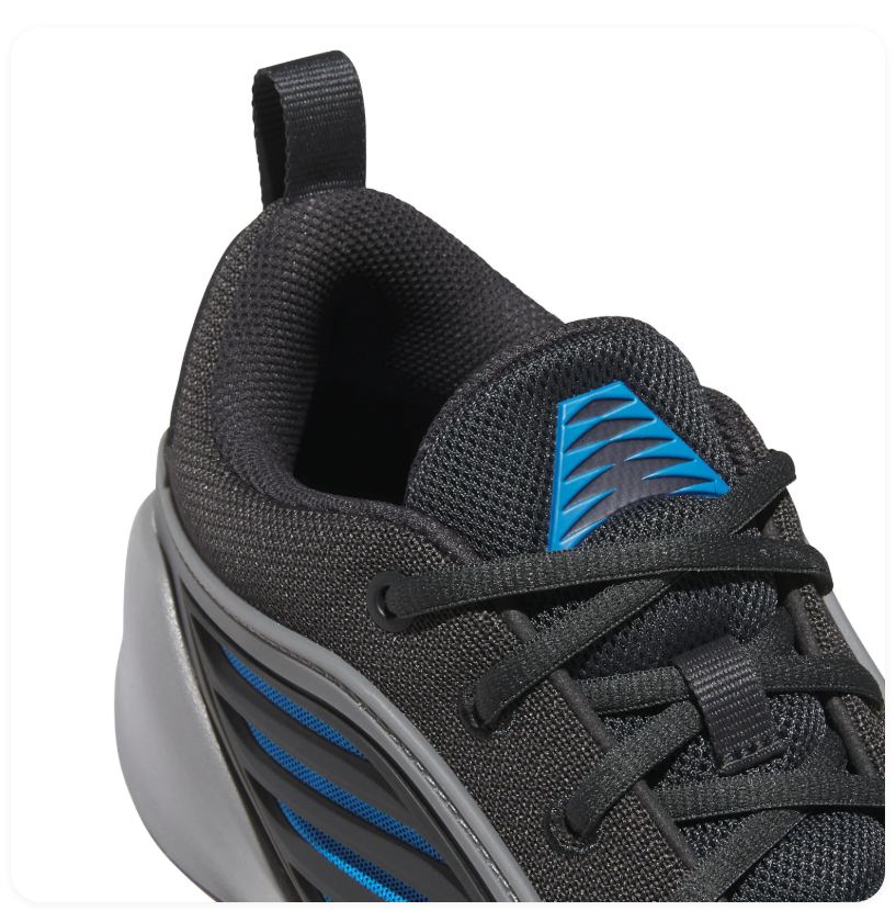 Adidas Black & Grey Low-Top Sneakers with Blue Accents