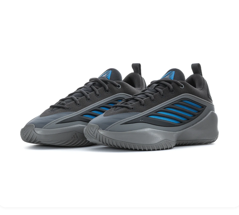 Adidas Black & Grey Low-Top Sneakers with Blue Accents