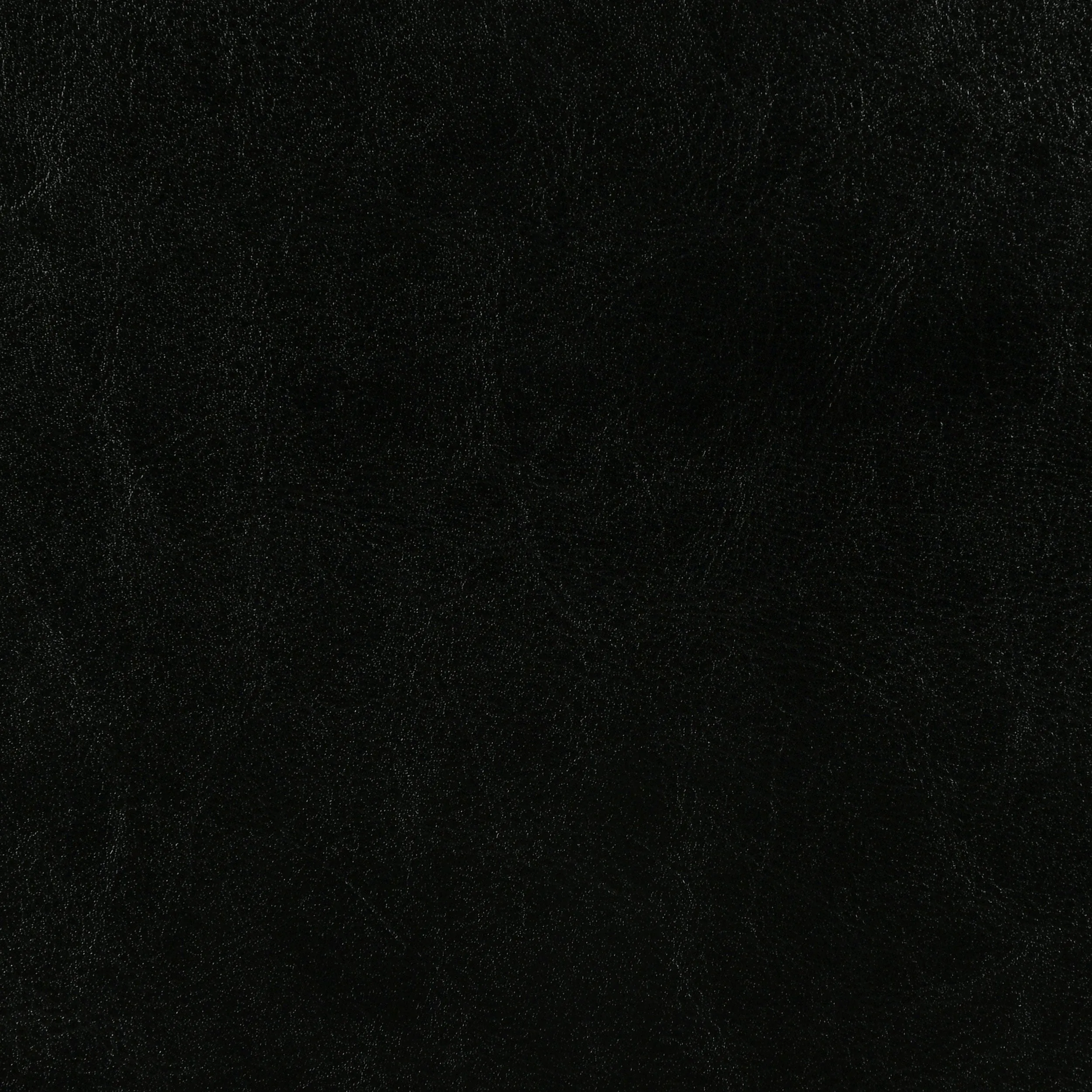 Dorian Faux Leather Upholstered Twin Panel Bed Black