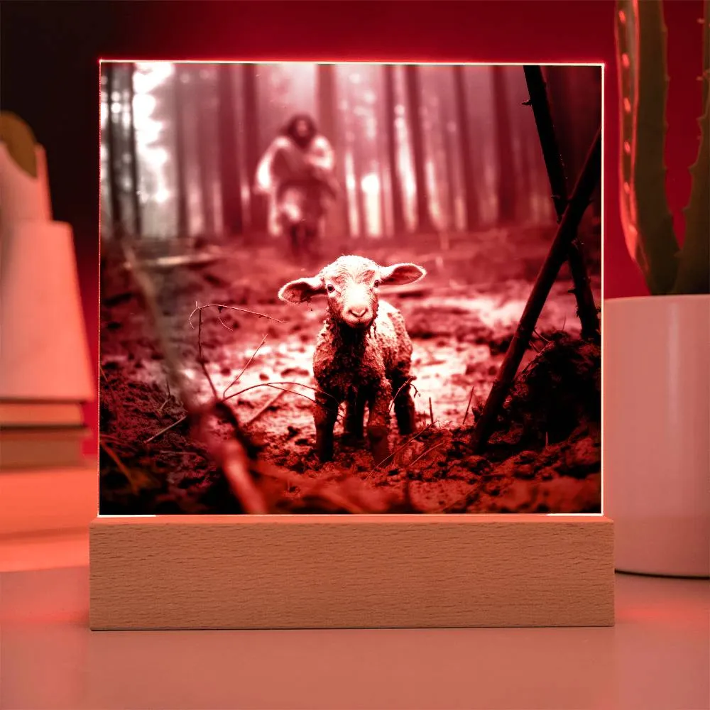 Jesus Running After a Lost Lamb Square Acrylic Plaque, Religious Decor