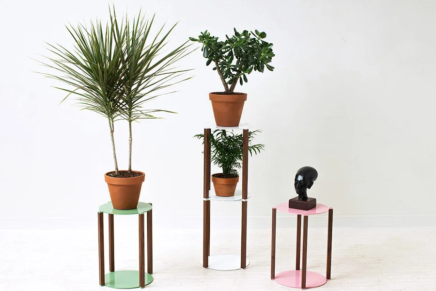 Plant-Based Stand