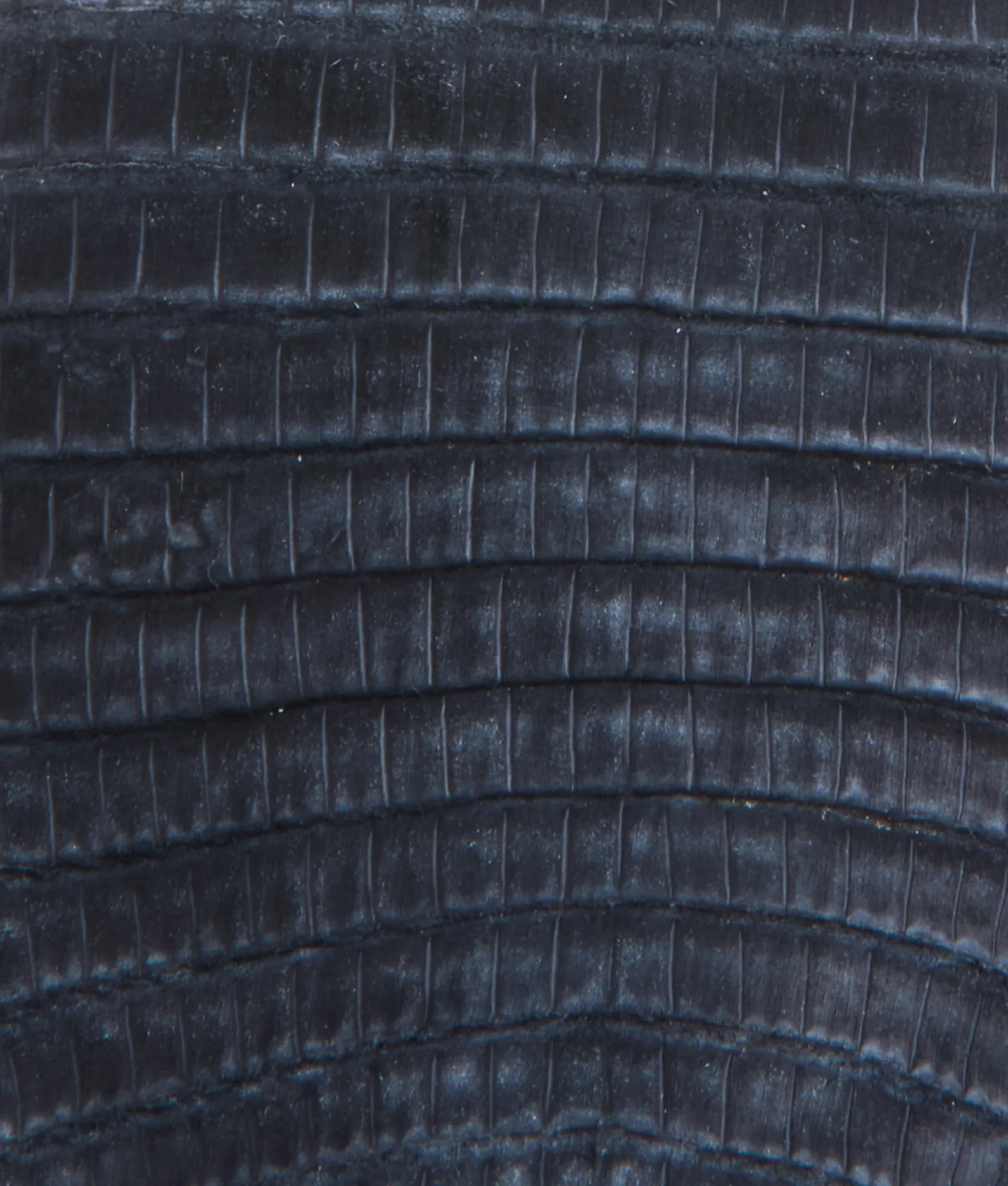 Women's Lucchese x Dallas Cowboys Legacy :: Navy